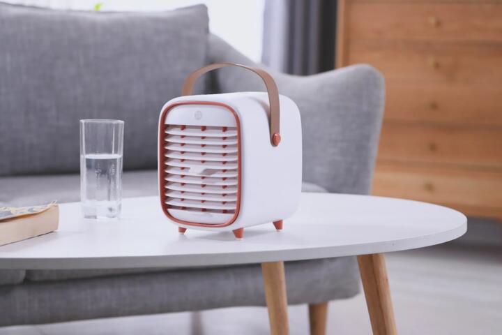 Portable Air Purifiers Allowed on Flights 2026