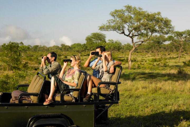 Best Compact Binoculars for African Safari Wildlife Spotting