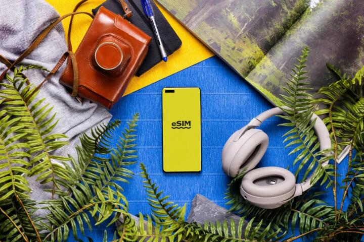Choosing Local vs Regional eSIM